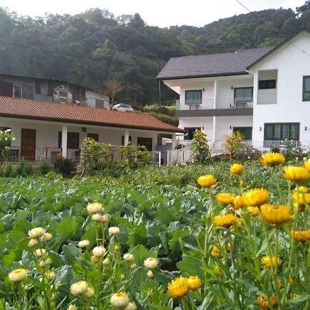 Ng Family'S Farm Stay 金马仑高原 外观 照片